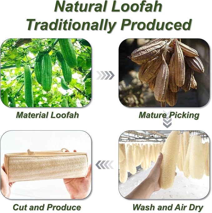 Natural Loofah Sponge, Exfoliating Body Scrubber for Men Women, Loofah with Handle, Exfoliating Back Scrubber for Shower Set, Deeply Clean & Invigorate Your Skin (1 pcs in Box)